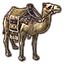 ESO Icon mounticon camel a.png