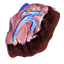 ESO Icon Rune.png