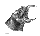 Zeichnung eines Horkerkopfes.png