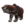 ESO Icon mounticon bear sweetroll.png