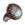 ESO Icon Leuchttäubling.png