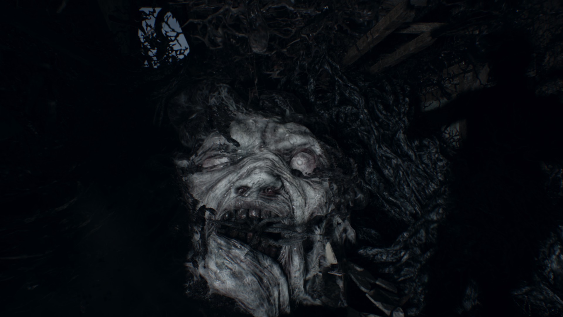 20200327145226_1 - Kopie.jpg