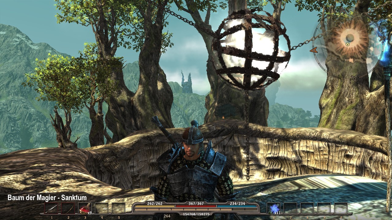 25 Magierbaum oben.jpg