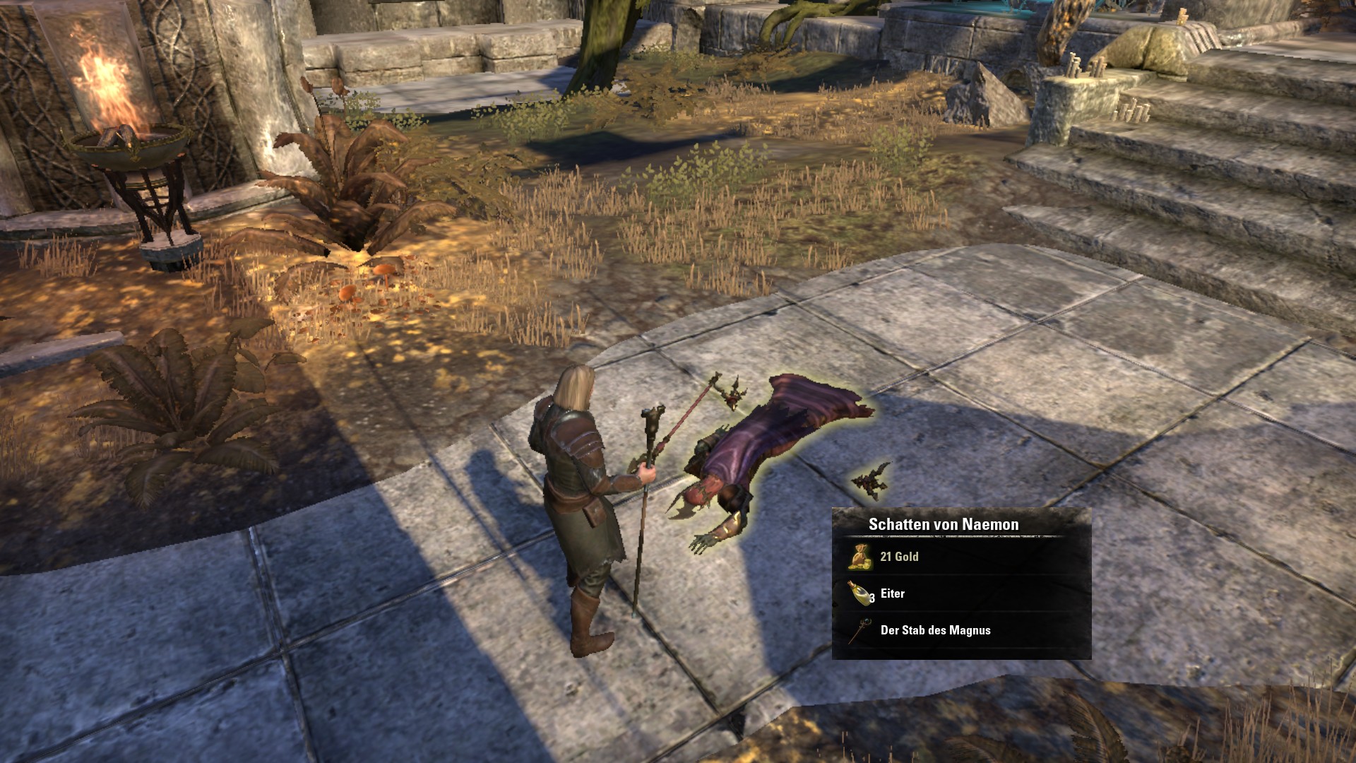 5 Hektahem - Kampf gegen Naemons Schatten.jpg