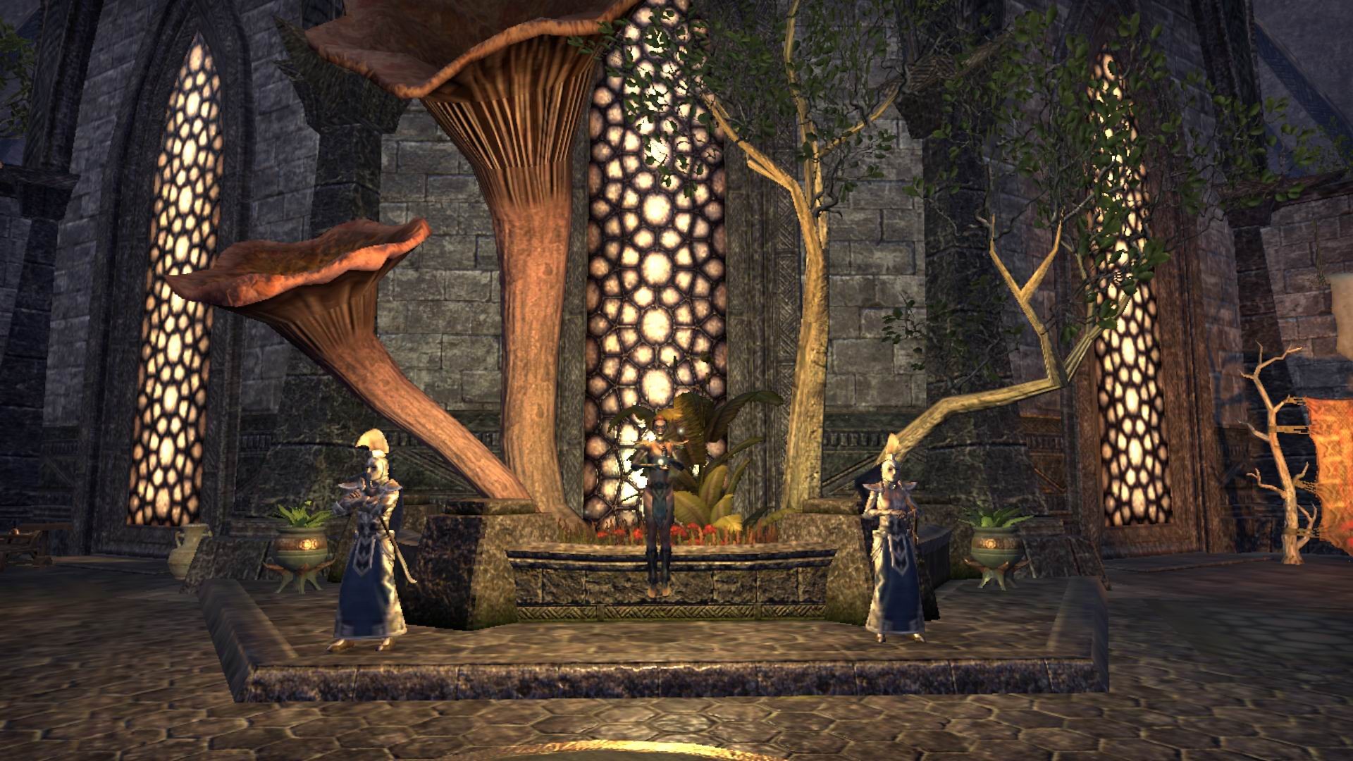 9a Gramfeste Almalexia.jpg