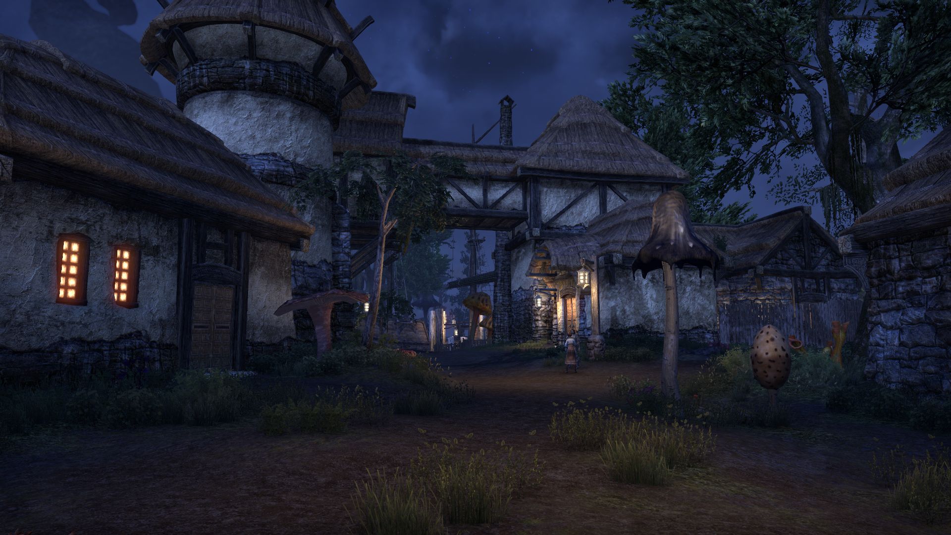 Abend Seyda Neen.jpg