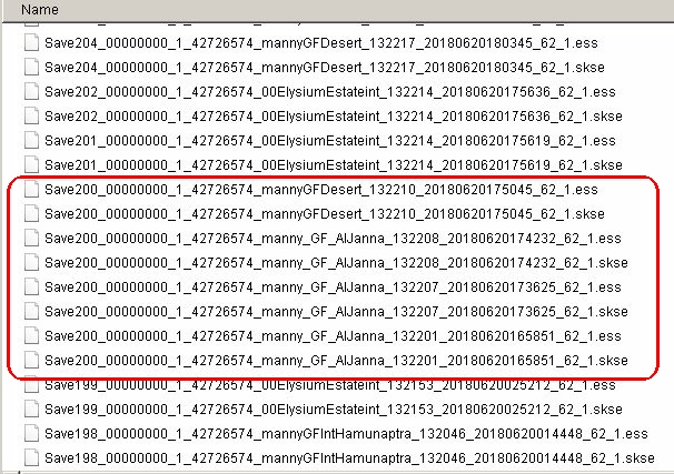 AL Janna sav Zähler.jpg