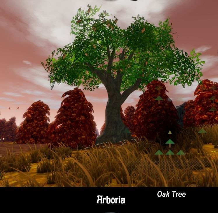 Arboria - Oak Tree Z.jpg