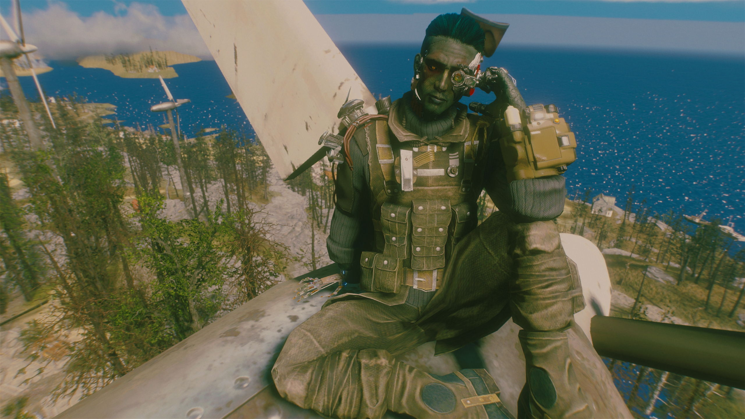 Enjoying the view.jpg