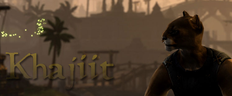 khajiit.jpg