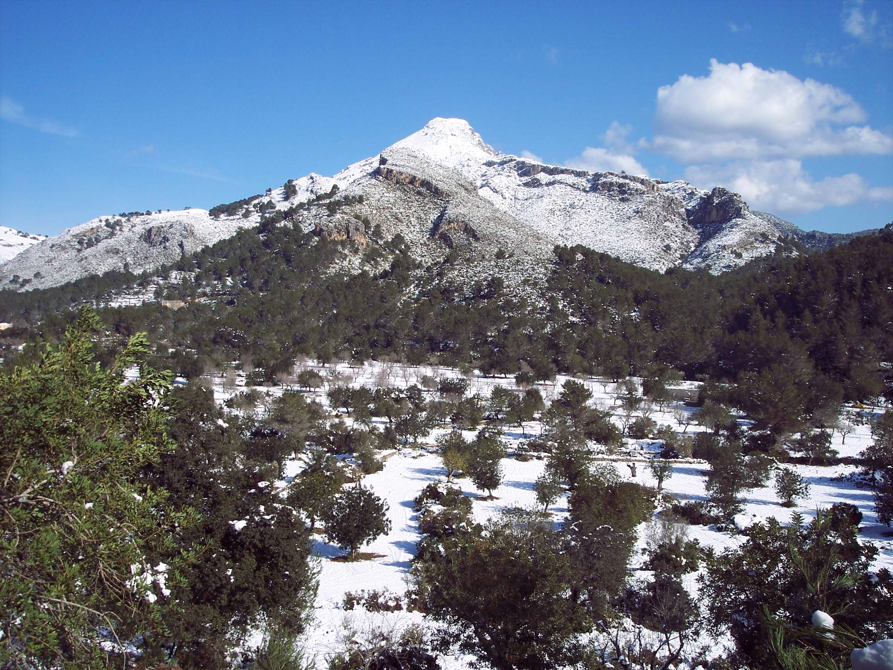 Mallorca2012 040.jpg