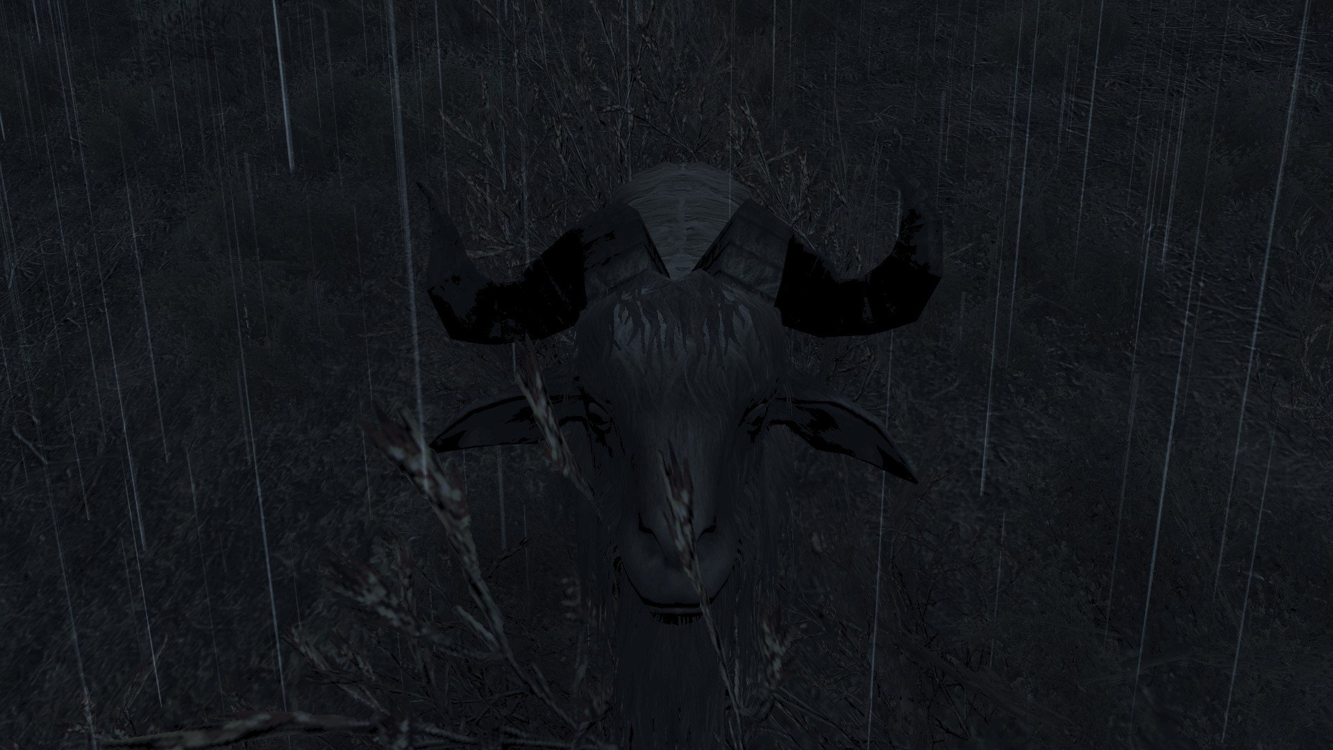 MD_Preisgekroente Ziege.jpg