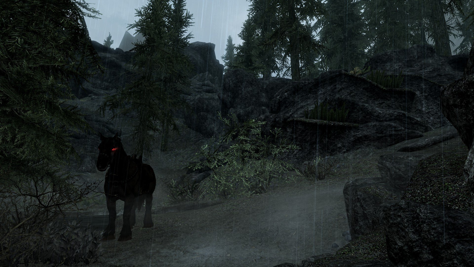 MD_Schatti wartet.jpg