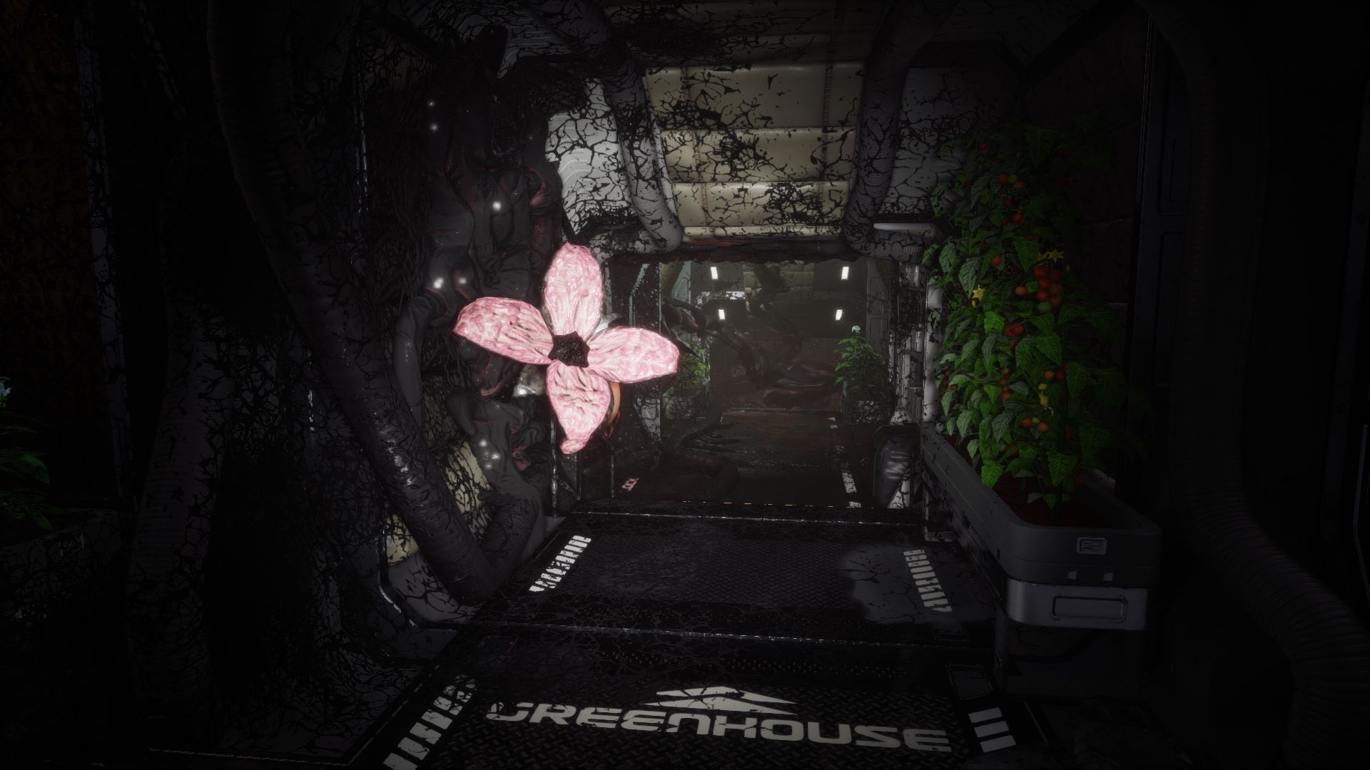 Moonsofmadness flowers1.jpg