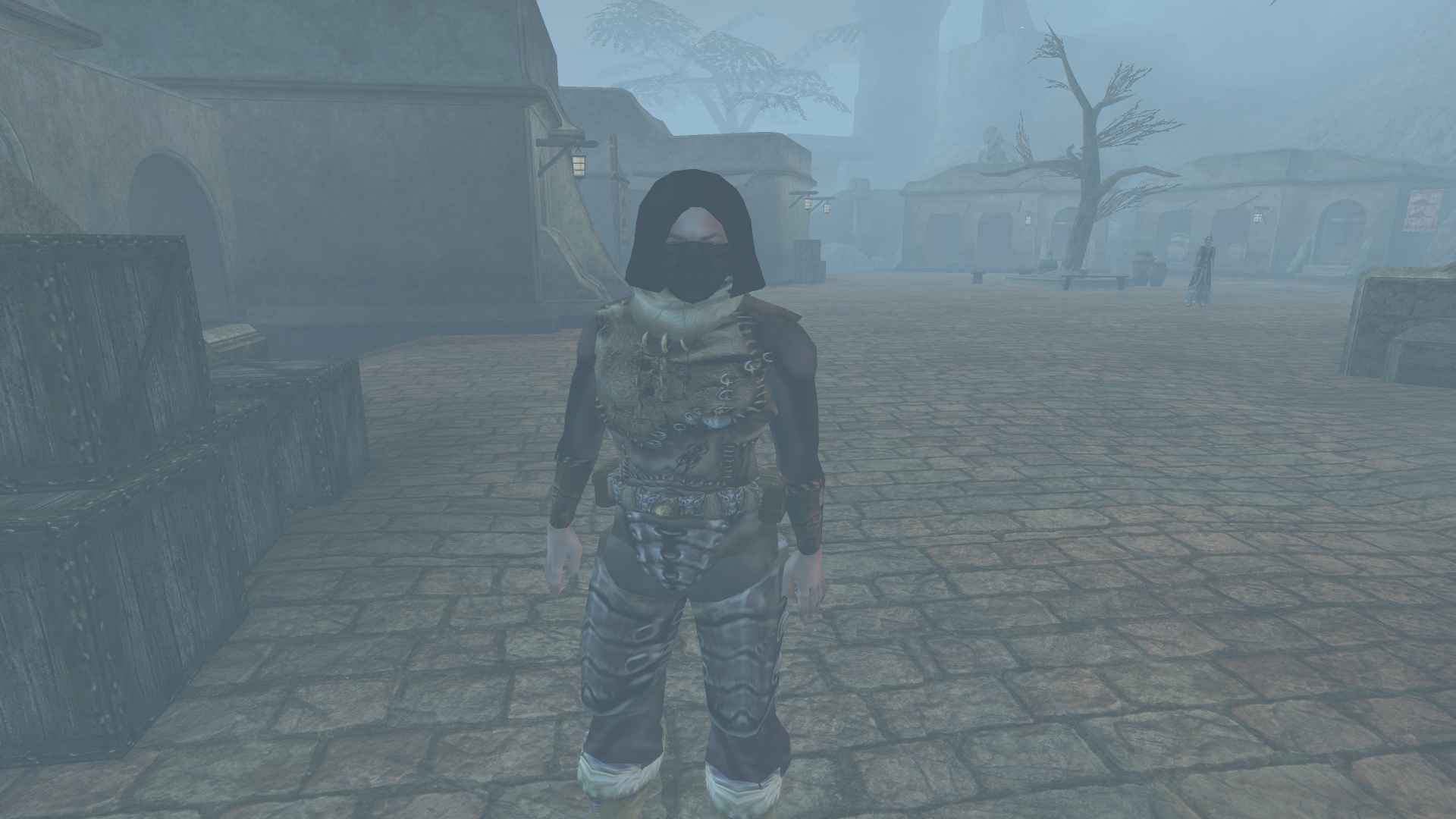 Morrowind 2020-04-28 02.10.45.980.jpg