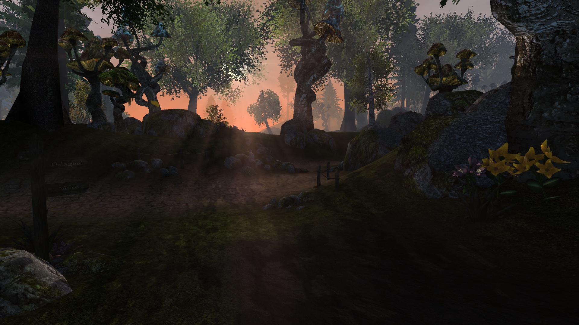 Morrowind 2020-05-04 02.06.14.629.jpg