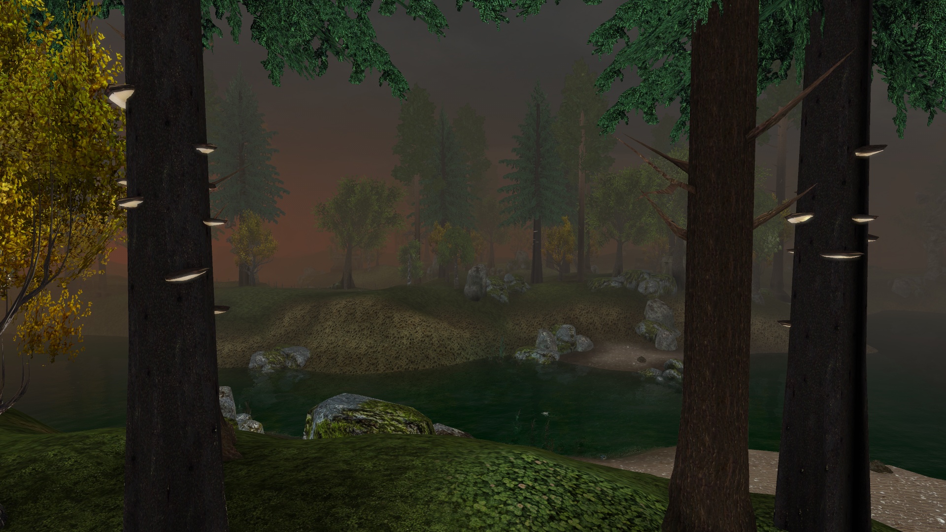 Morrowind 2020-05-08 21.31.34.044.jpg