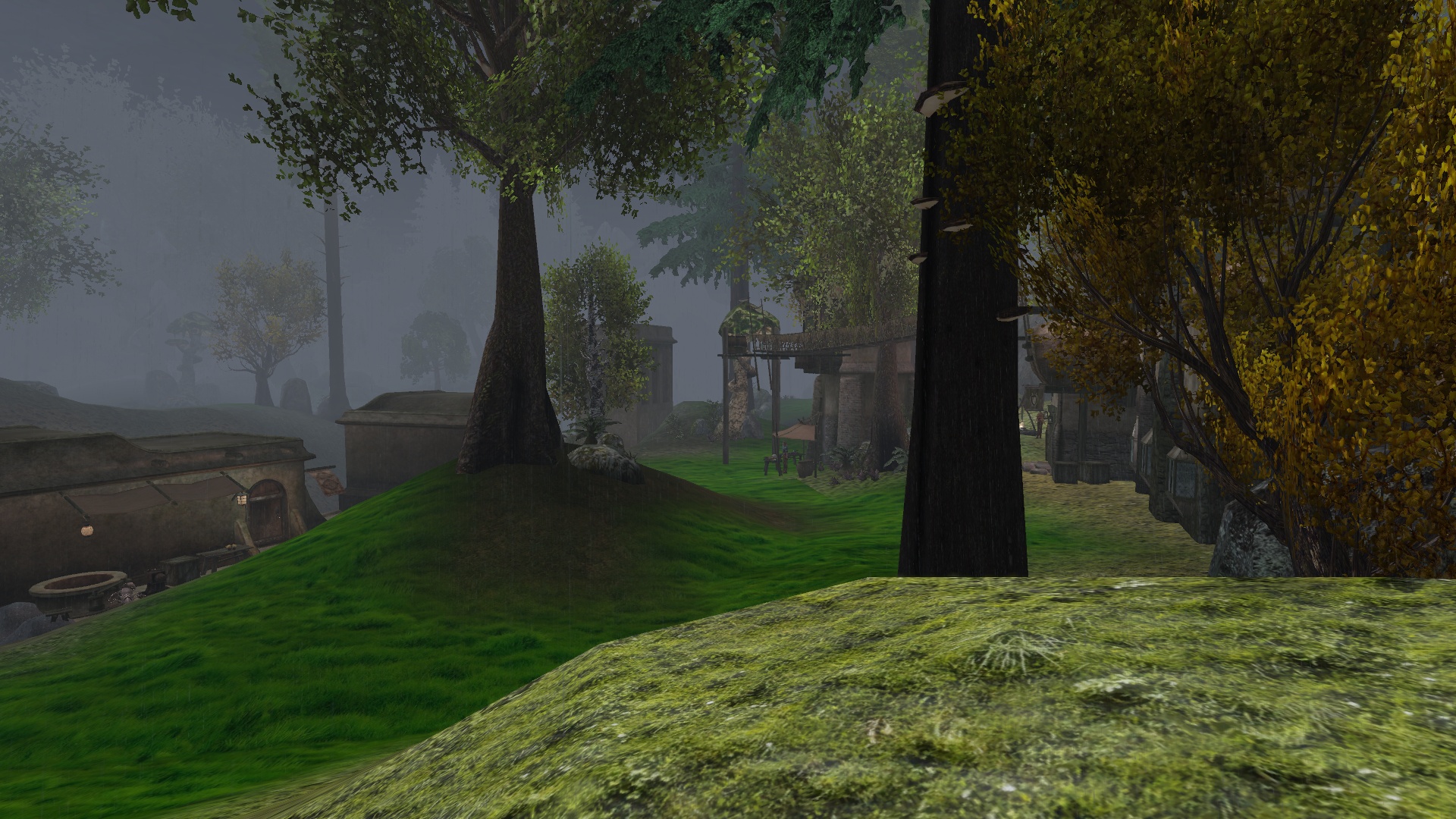 Morrowind 2020-05-11 21.16.26.516.jpg