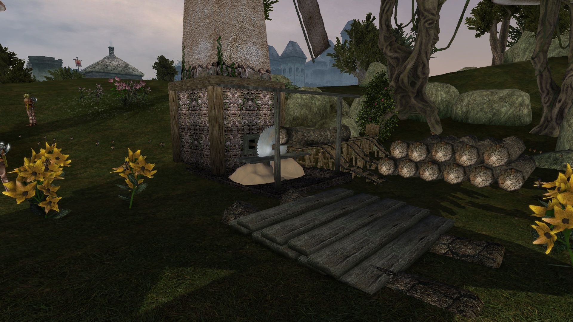 Morrowind 2020-05-21 20.29.39.336.jpg