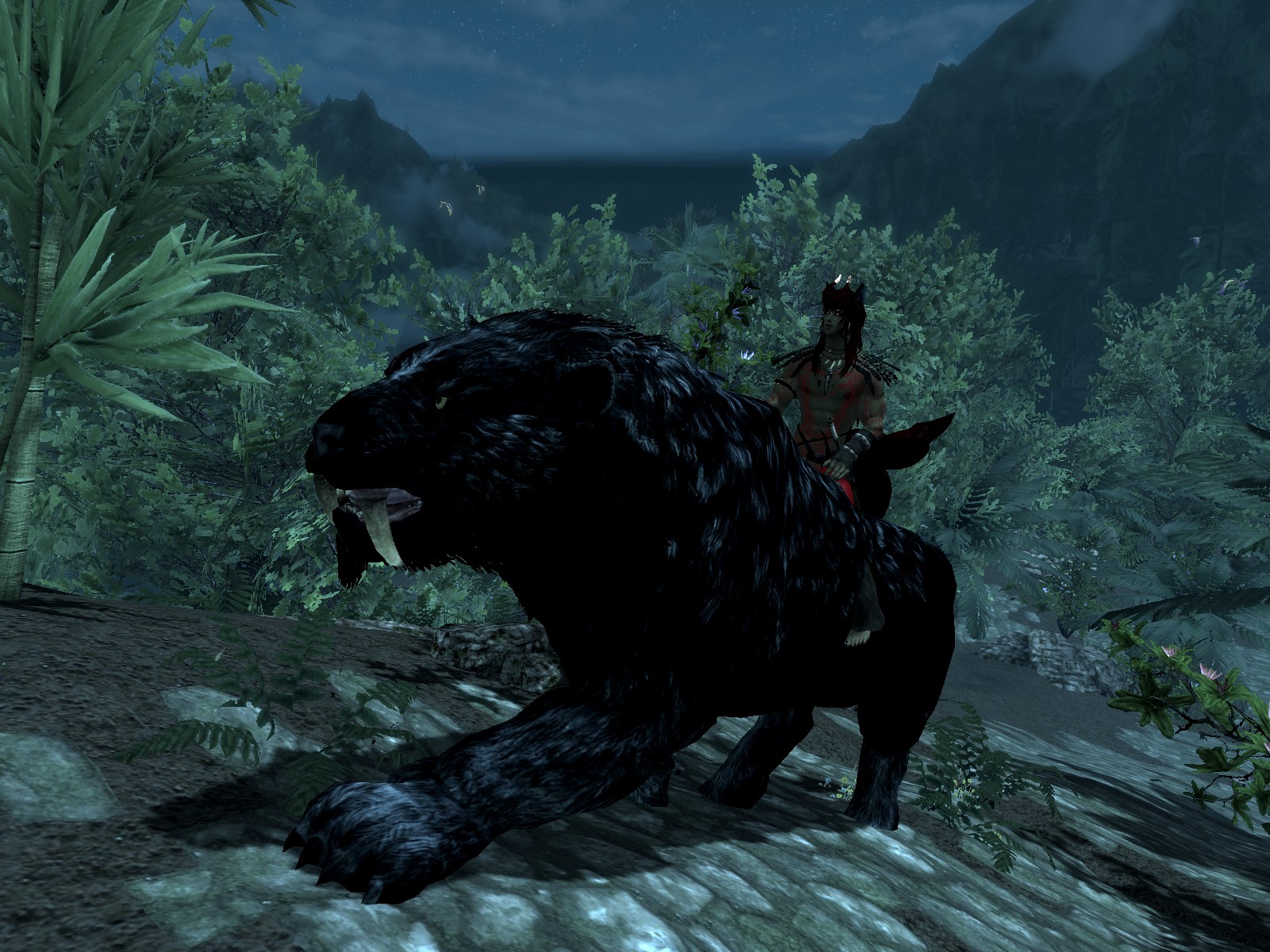 My huge Black Cat.jpg
