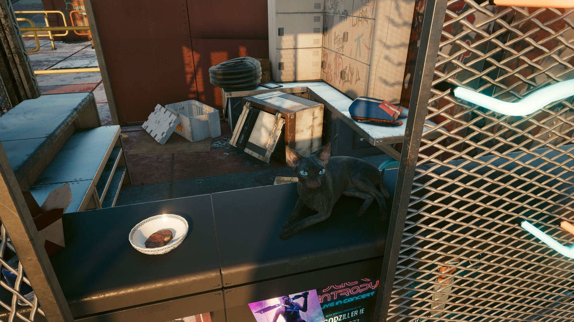 photomode_07042025_001224.jpg