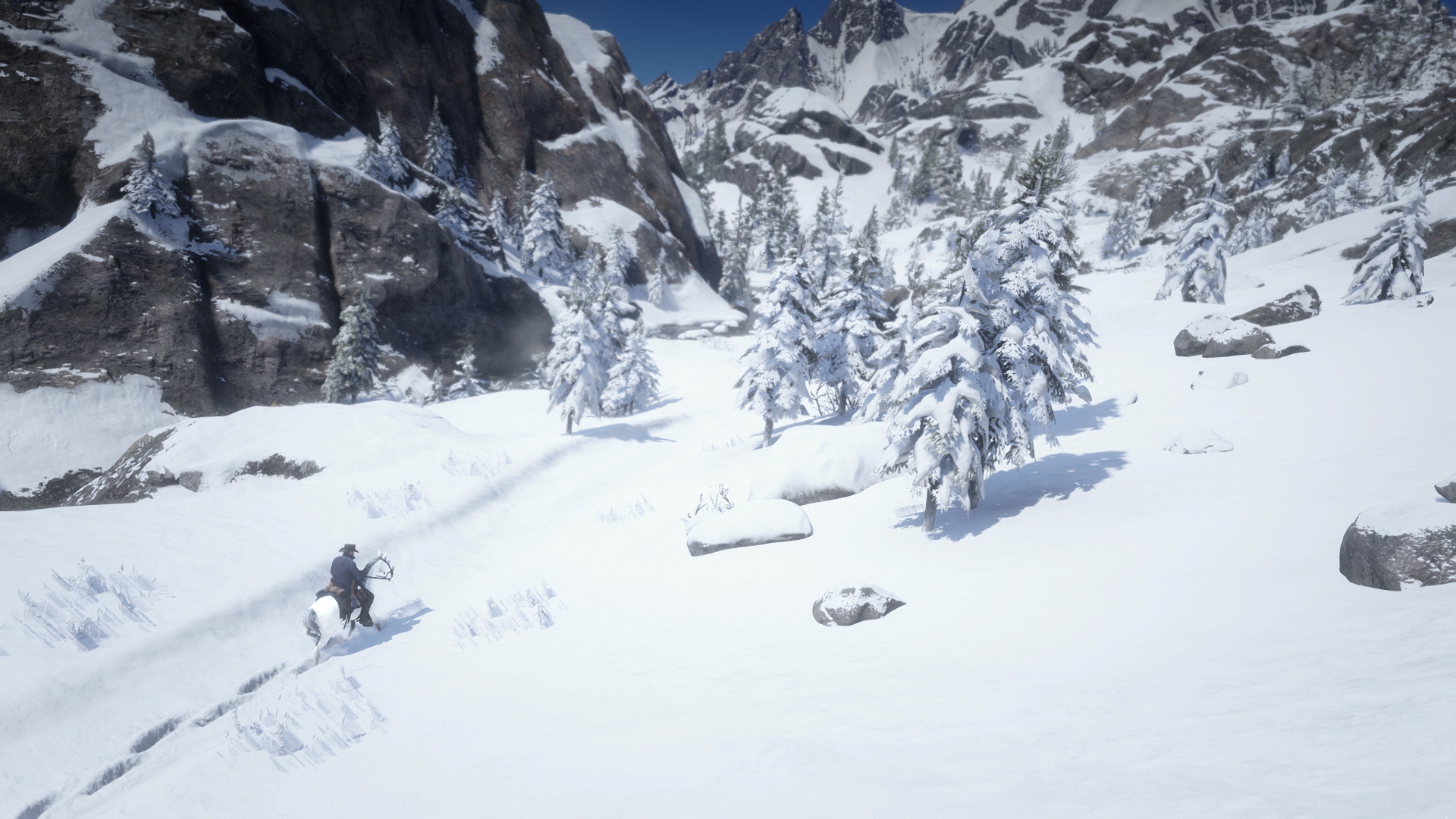 Red Dead Redemption 2 Screenshot 2020.01.05 - 20.33.34.64.jpg