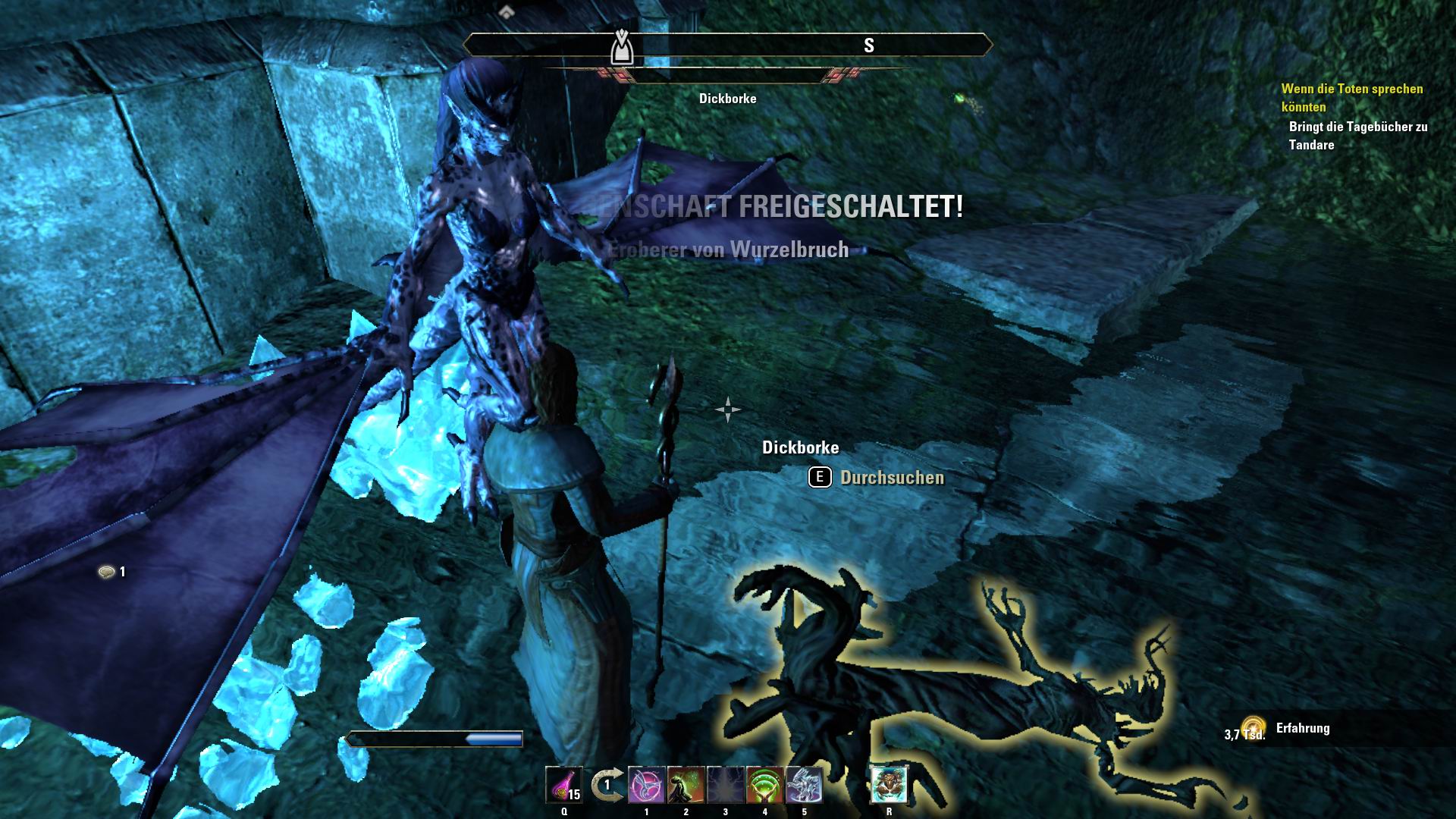 RuinenW 8a Dickborke.jpg