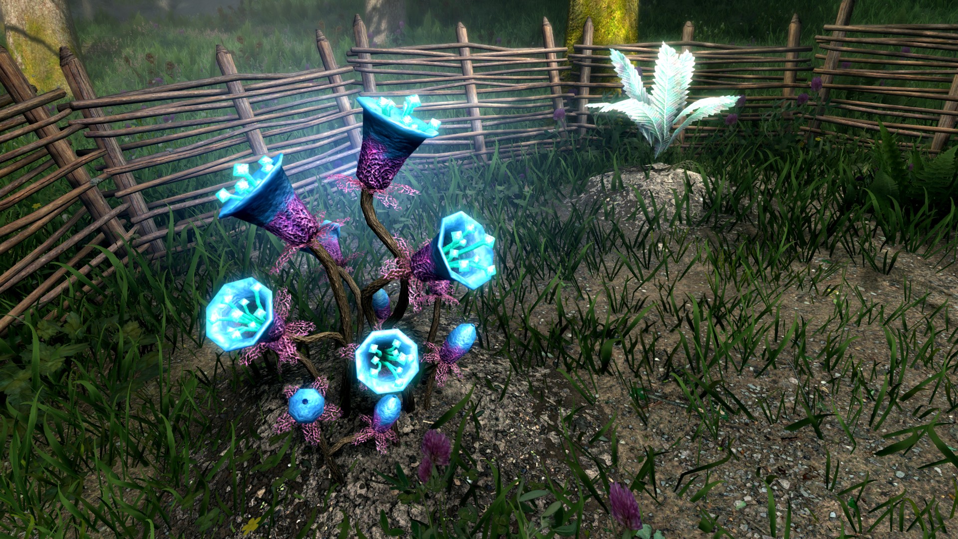 ScreenShot25.jpeg