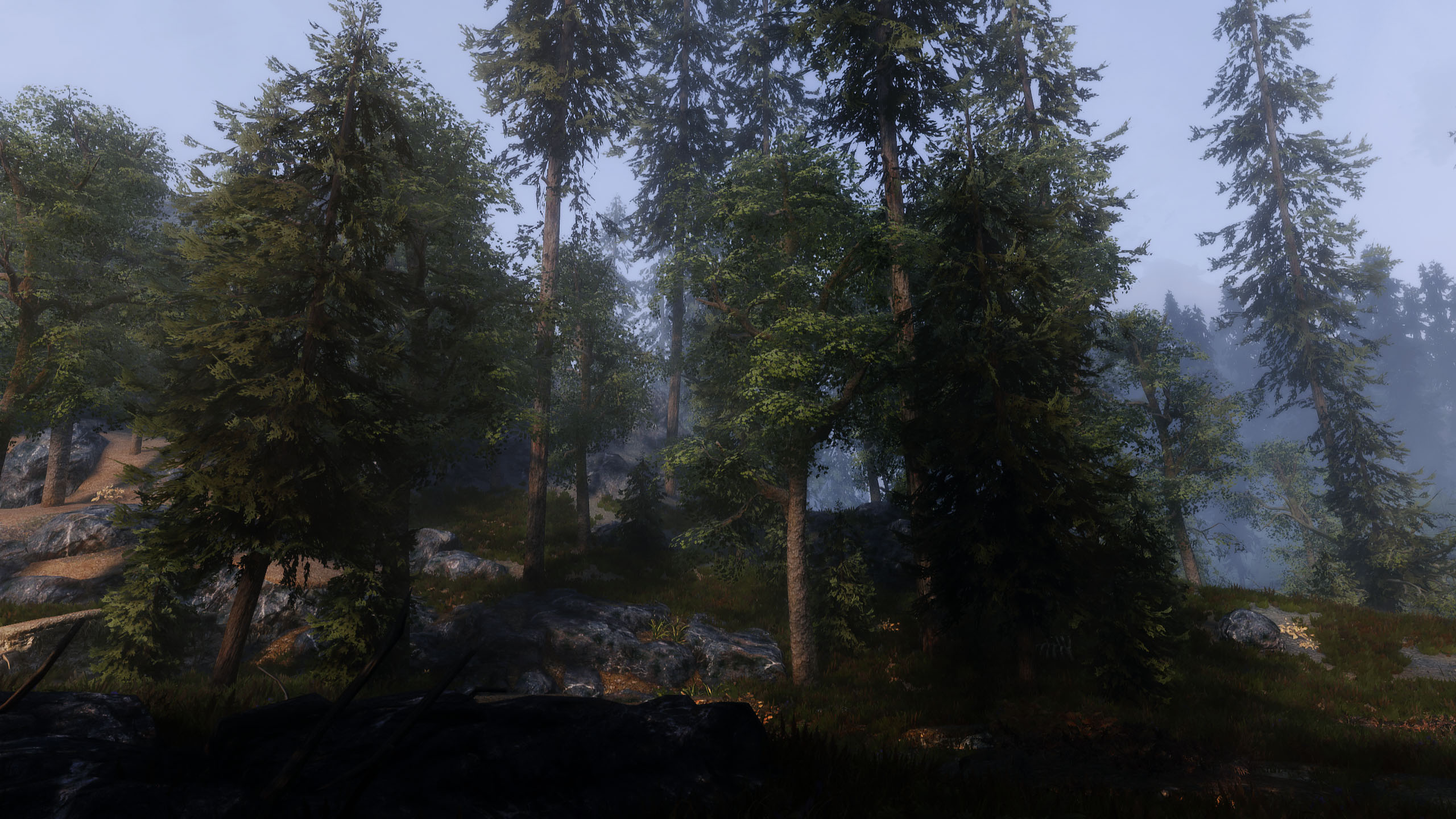 Skyrim_Natur_2.jpg
