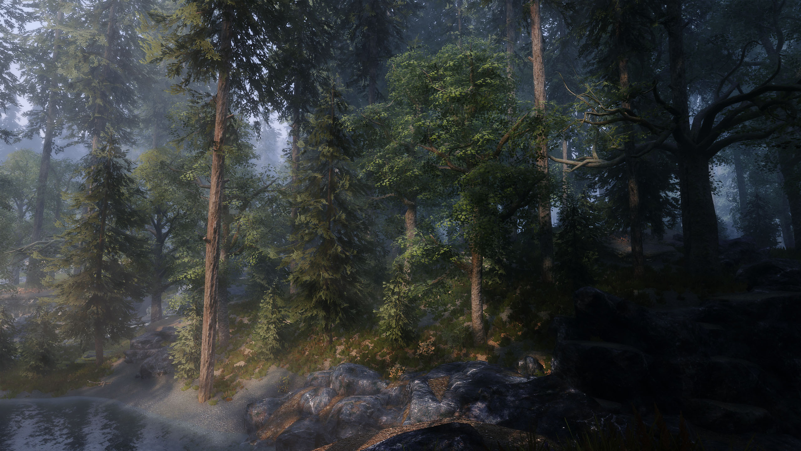 Skyrim_Natur_3.jpg