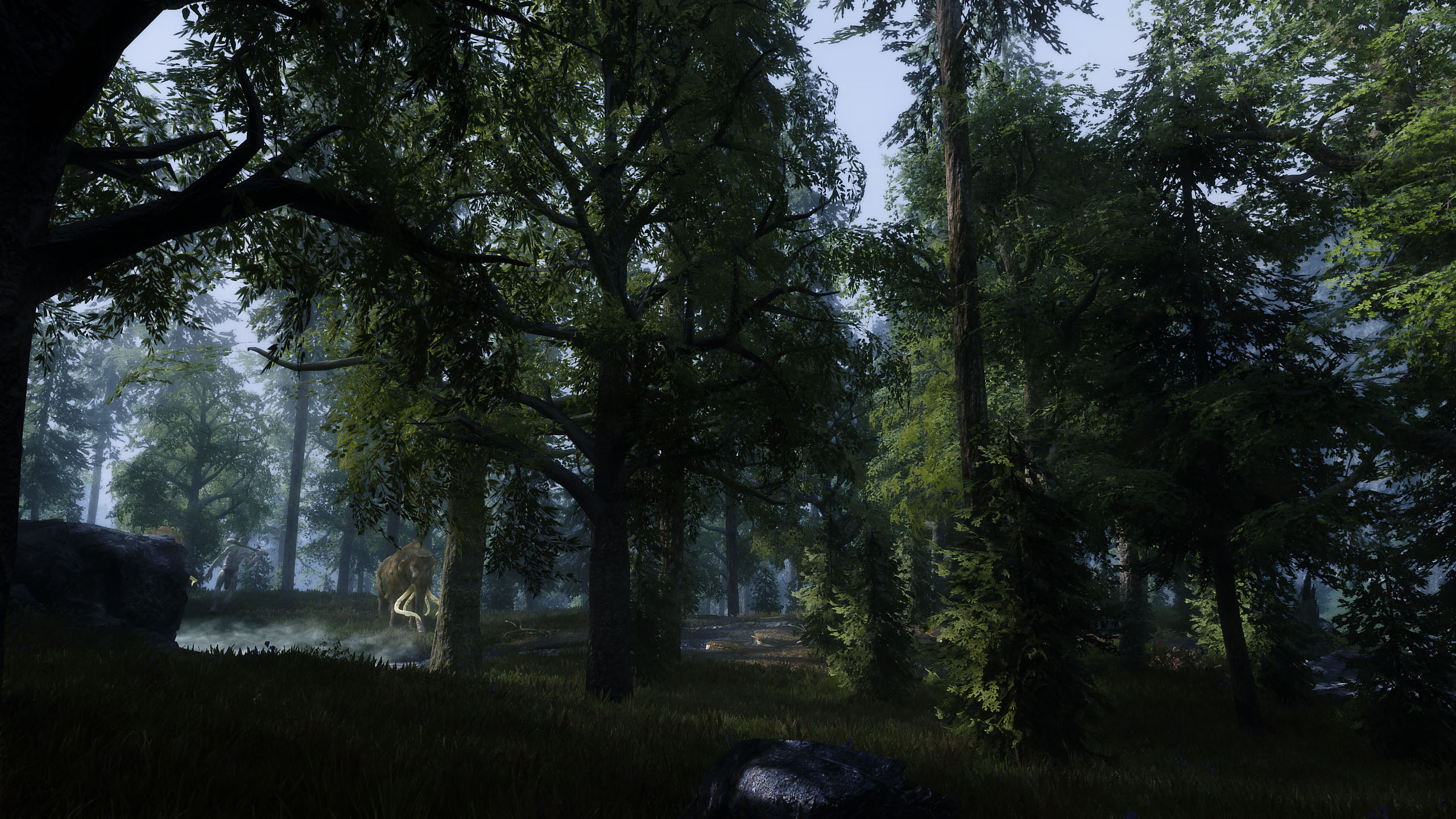 Skyrim_Natur_4.jpg