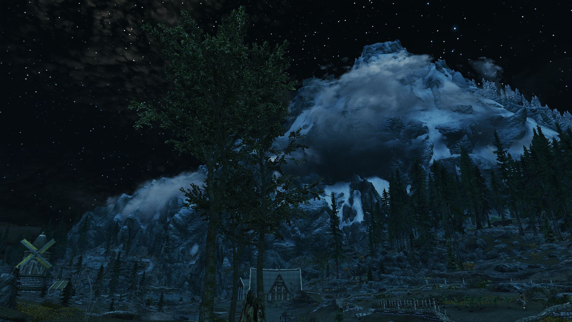 Skyrimnature2.jpg