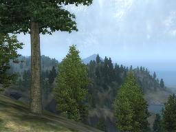 SSSWildnis-Level 49_2.jpg