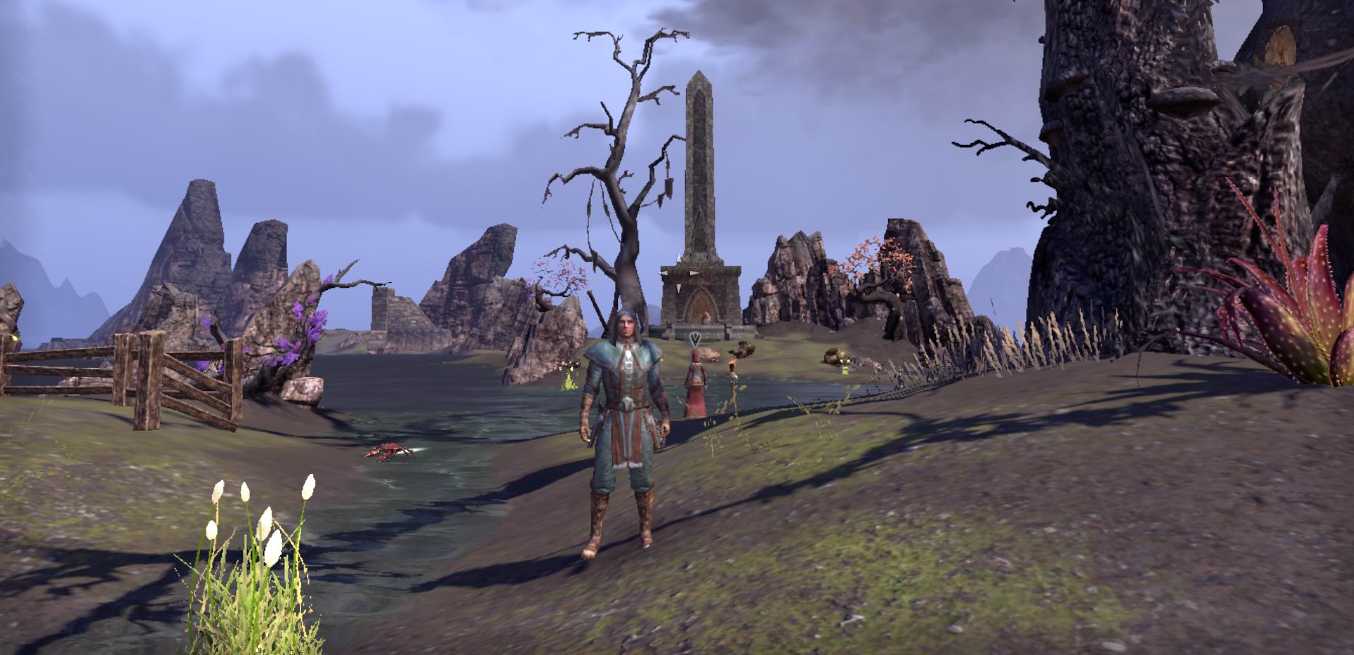 Steinfanginsel 1.jpg