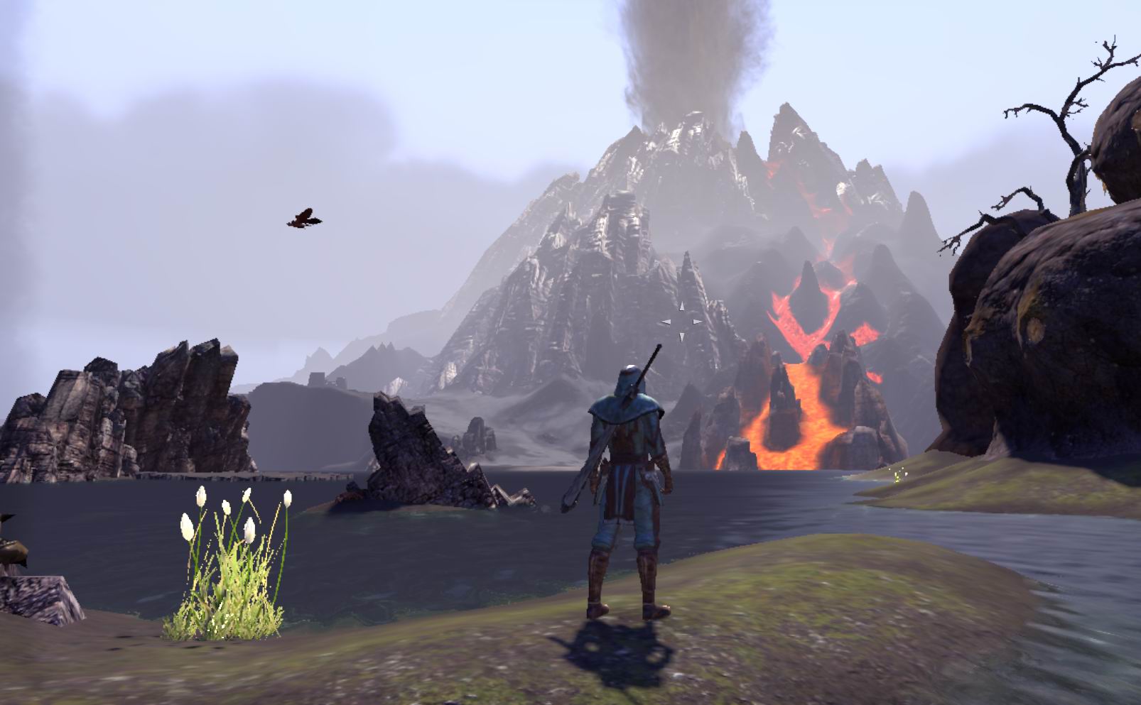 Steinfanginsel 4.jpg