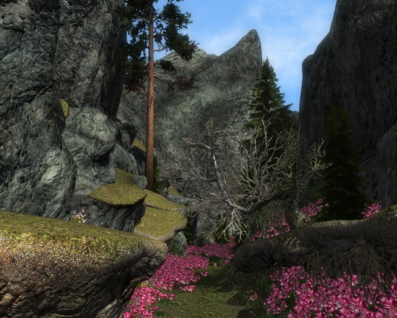 TESV 2017-11-09 20-02-24-844.jpg