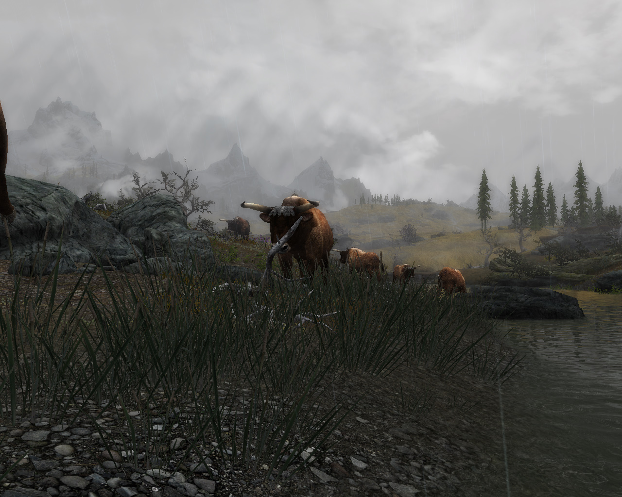 TESV 2019-01-20 23-08-47-400.jpg