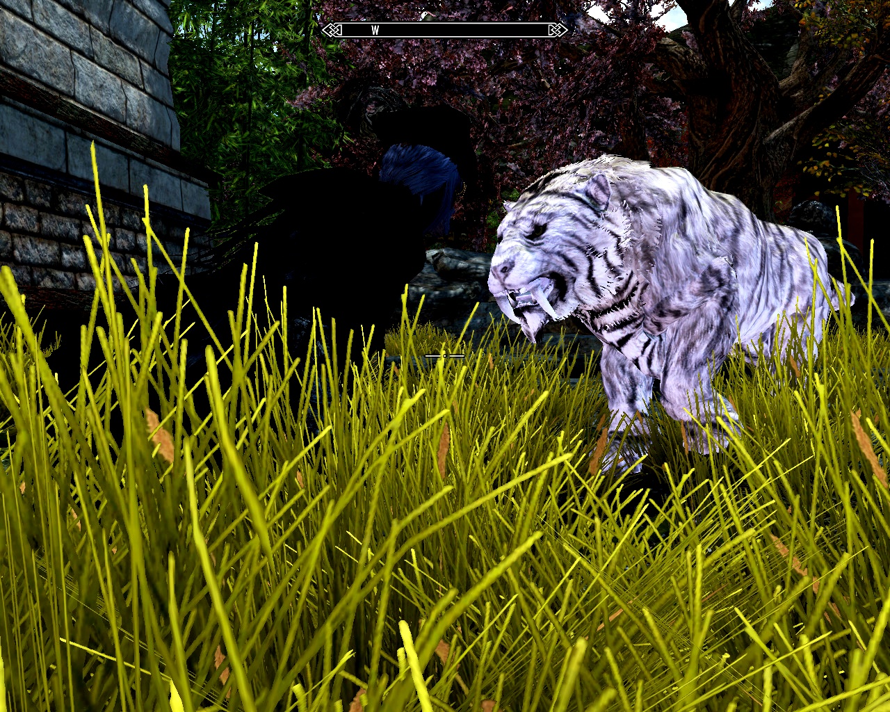 TESV 2019-01-27 17-16-45-209.jpg