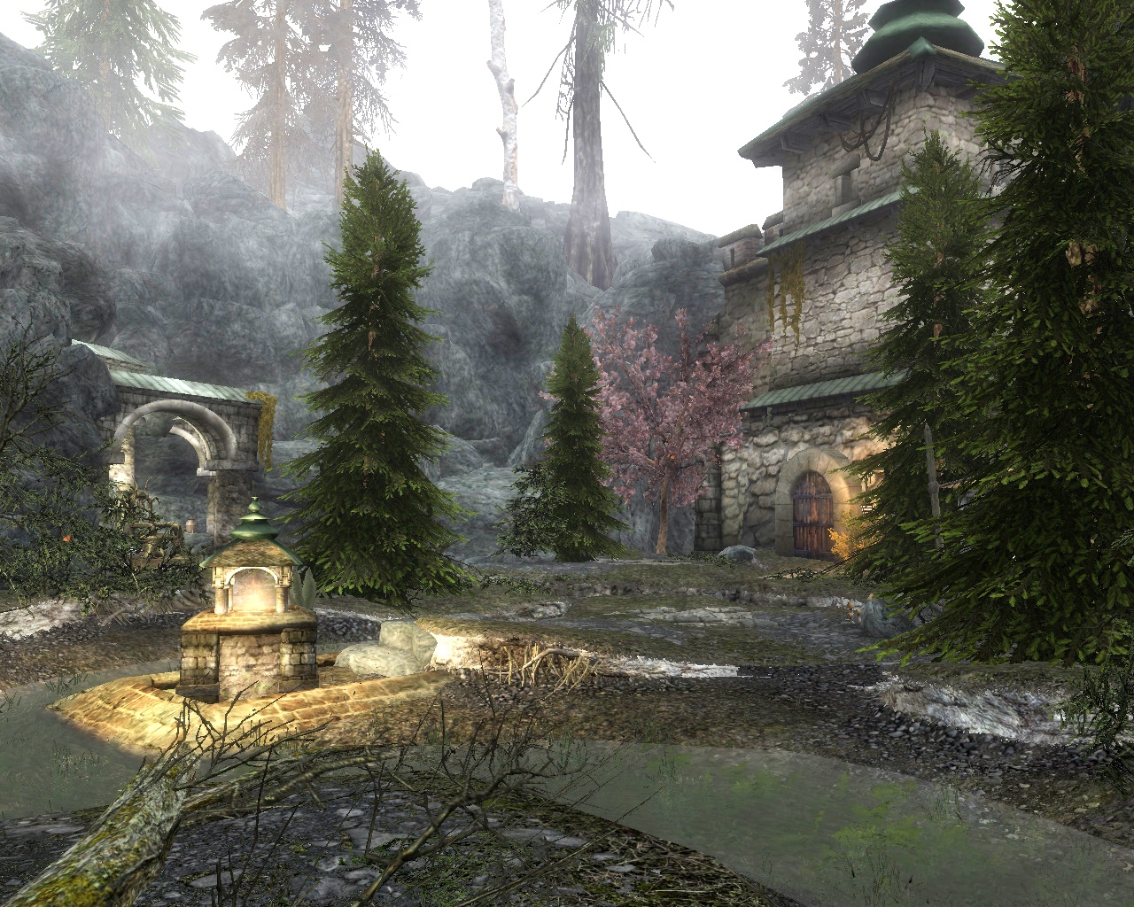 TESV 2019-03-13 01-19-02-400.jpg