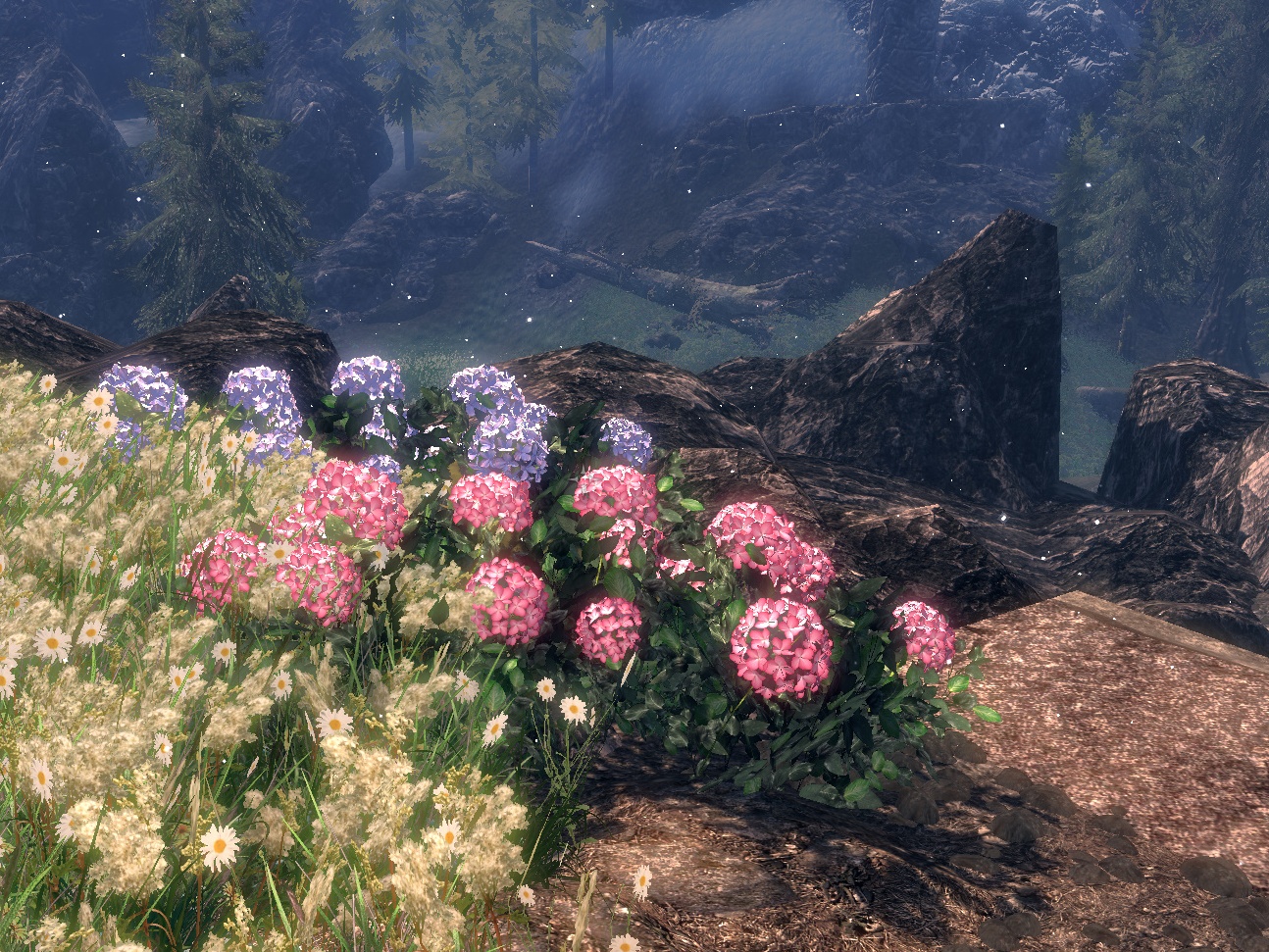 TESV 2021-08-12 18-02-13-071.jpg