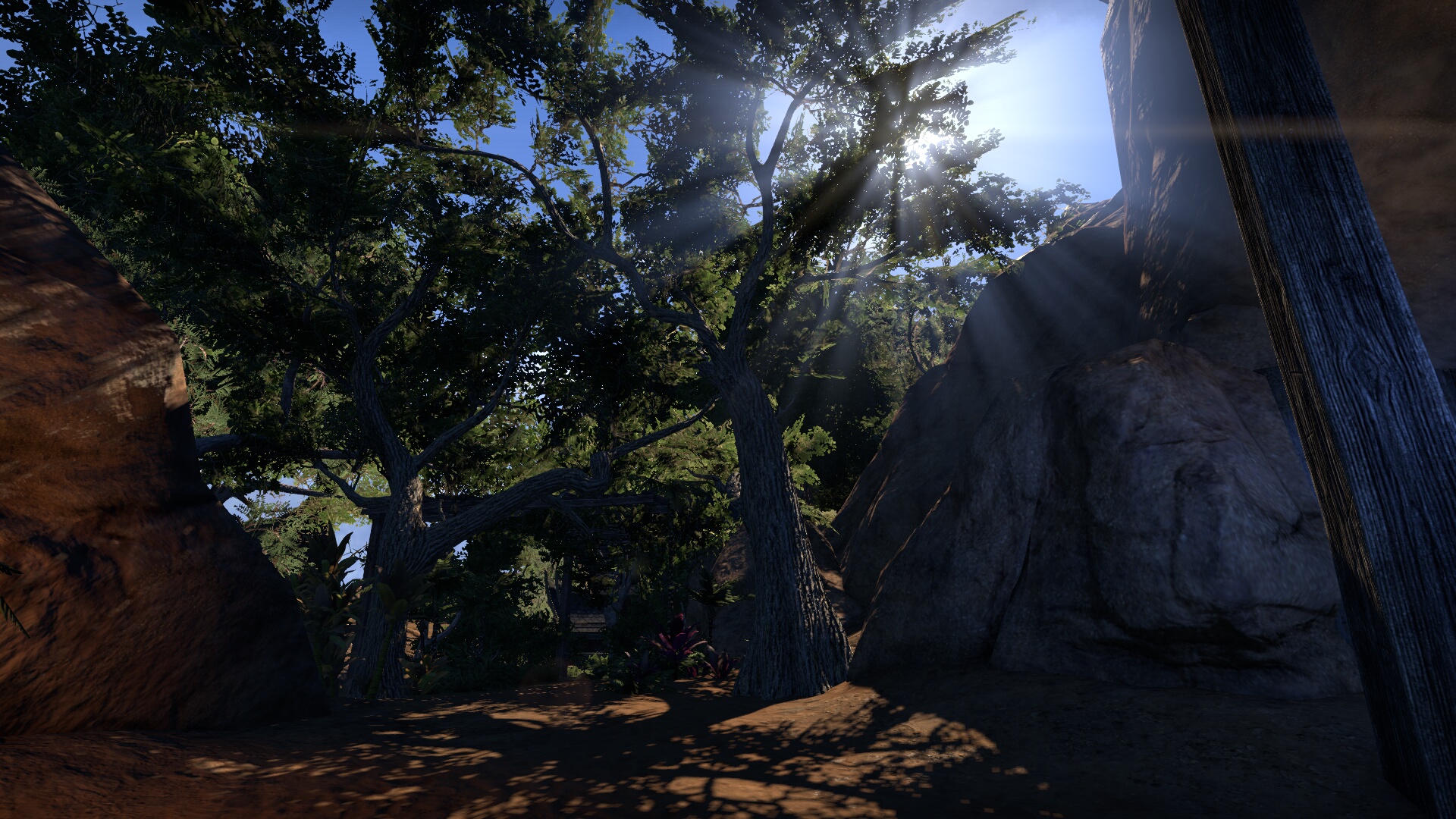 The Elder Scrolls Online_ Tamriel Unlimited (1).jpg