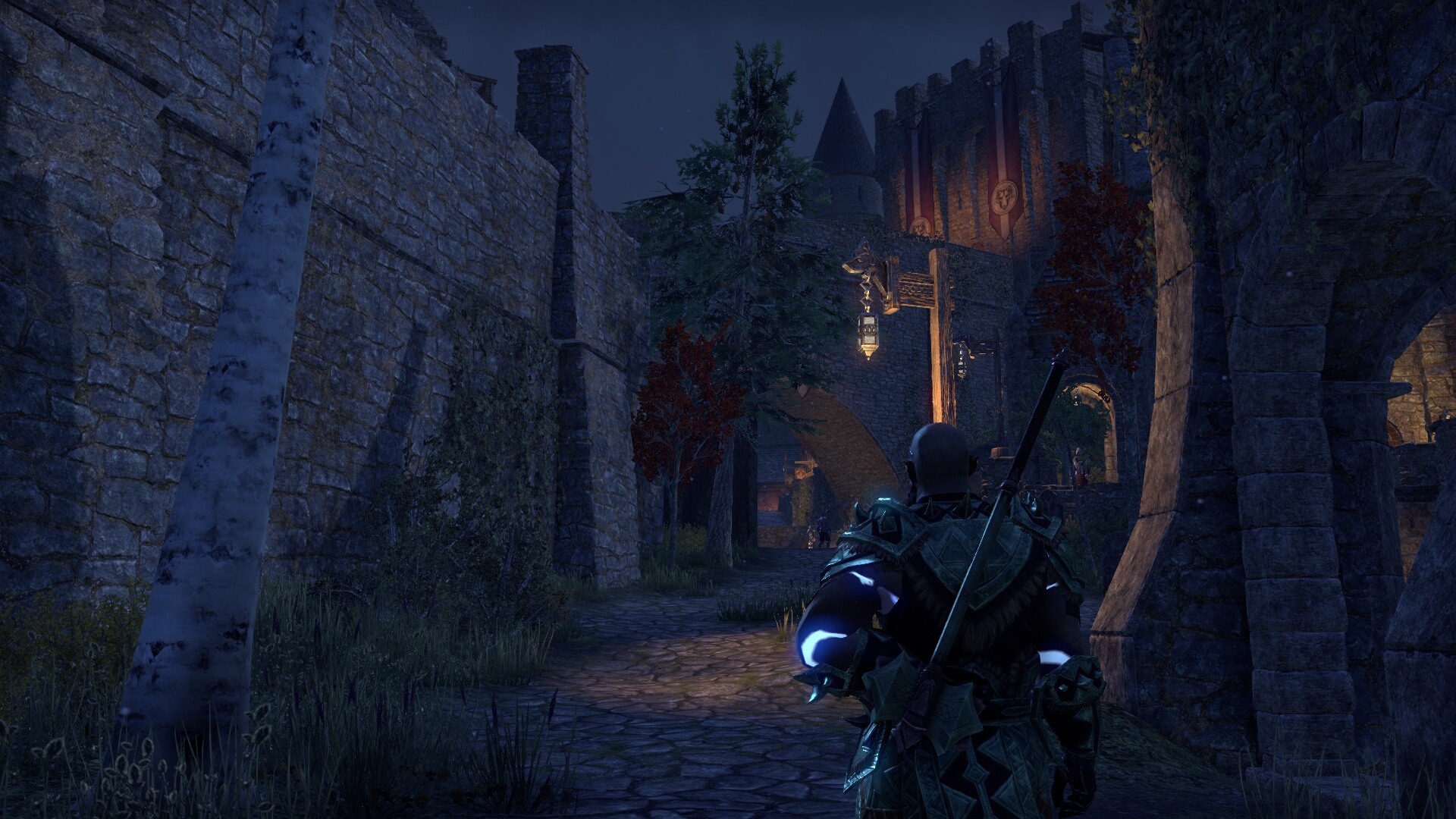 The Elder Scrolls Online_ Tamriel Unlimited (10).jpg