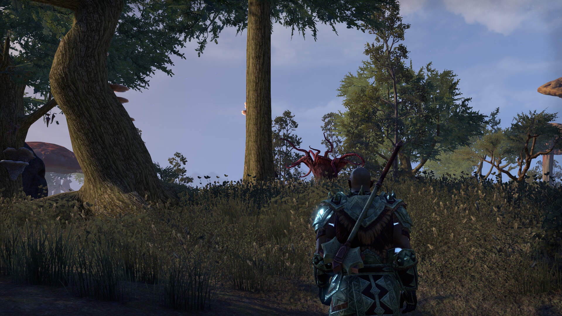 The Elder Scrolls Online_ Tamriel Unlimited (12).jpg