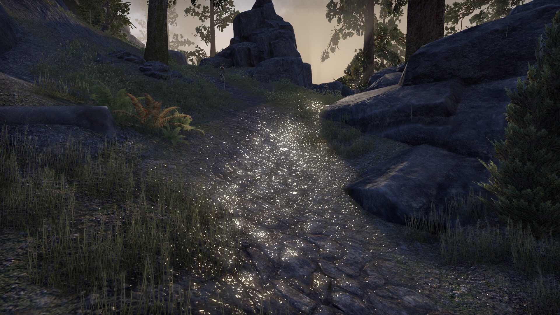 The Elder Scrolls Online_ Tamriel Unlimited (13).jpg