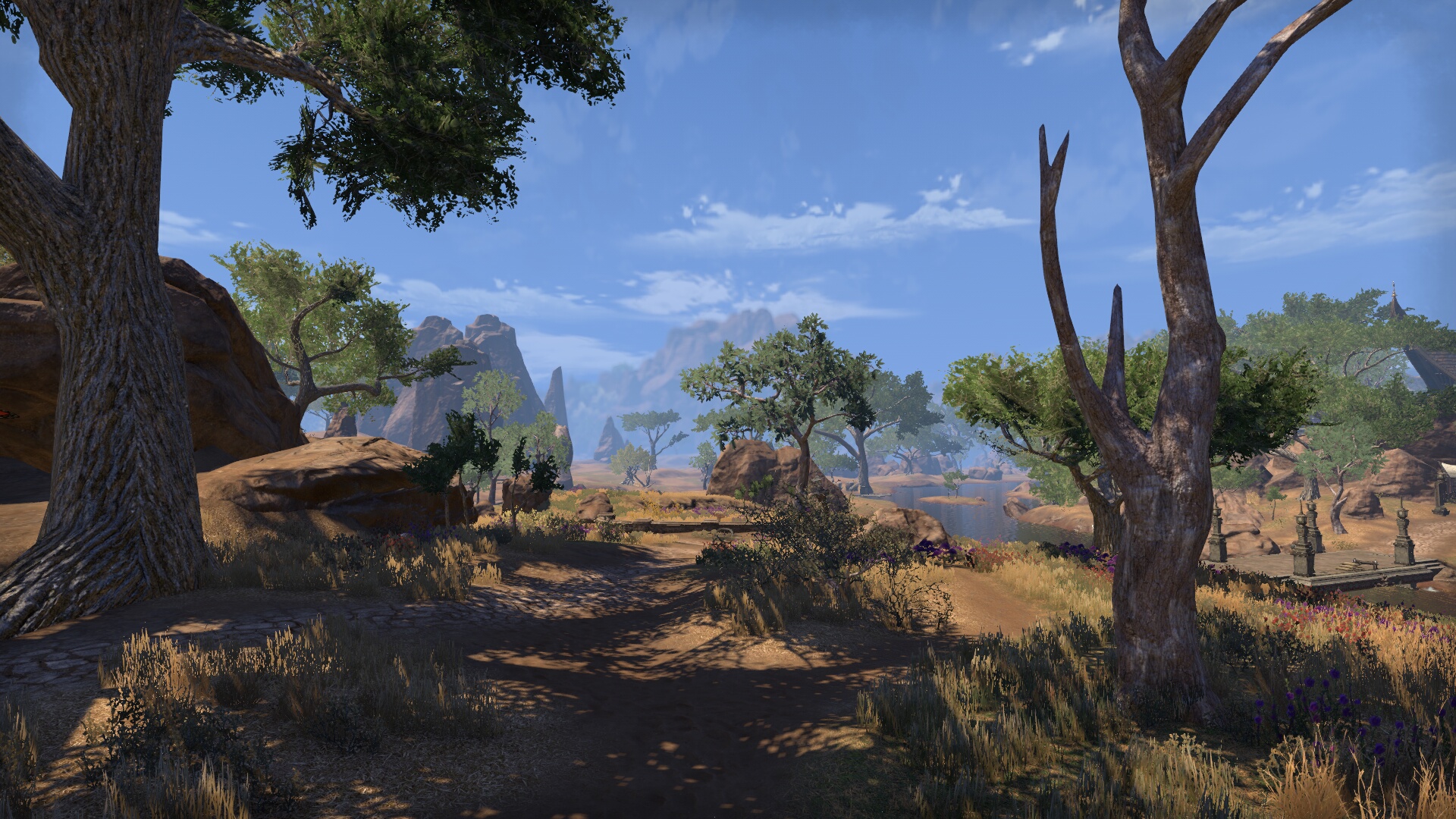The Elder Scrolls Online_ Tamriel Unlimited (15).jpg