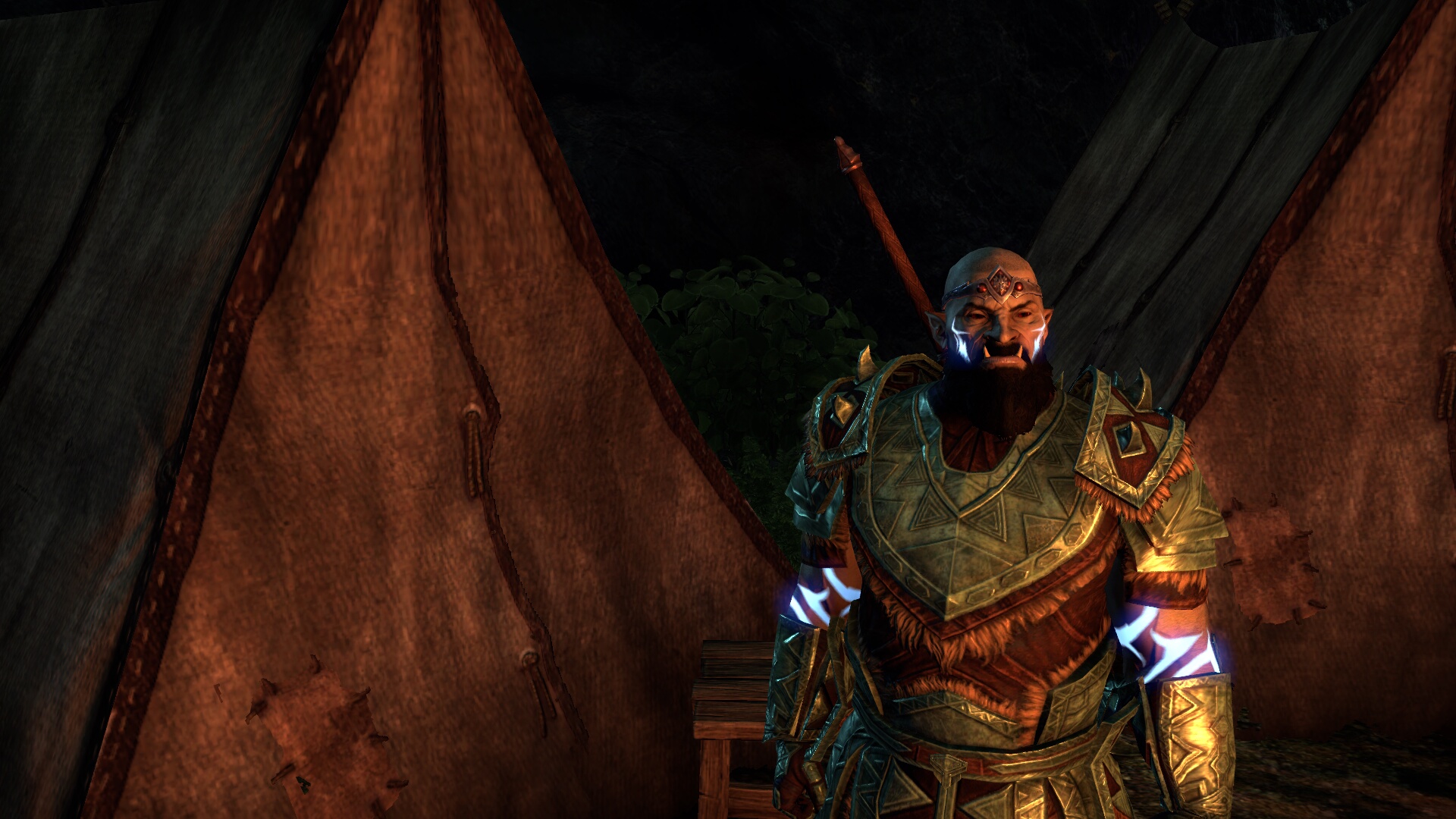 The Elder Scrolls Online_ Tamriel Unlimited (16).jpg