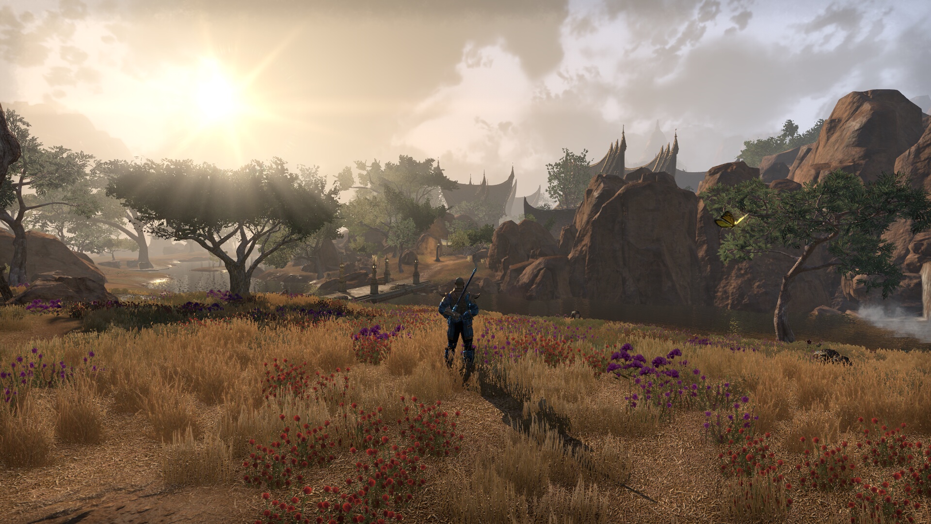 The Elder Scrolls Online_ Tamriel Unlimited (16).jpg