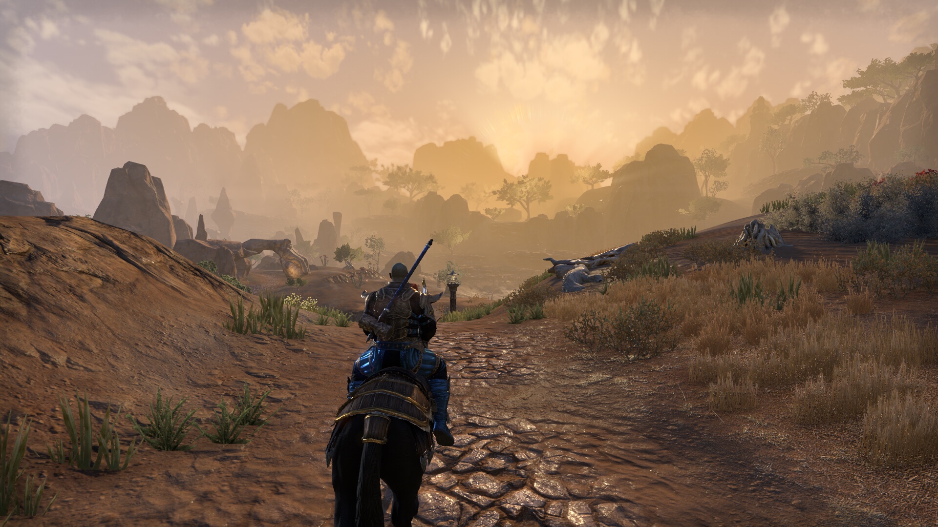 The Elder Scrolls Online_ Tamriel Unlimited (3).jpg