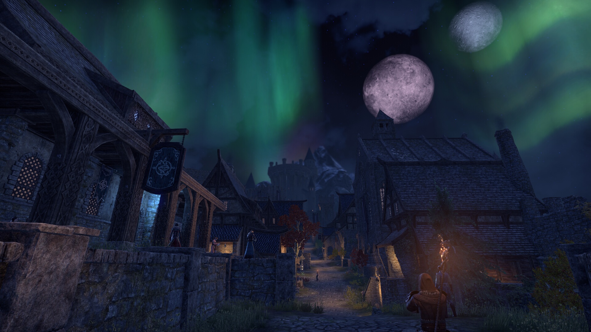 The Elder Scrolls Online_ Tamriel Unlimited (4).jpg