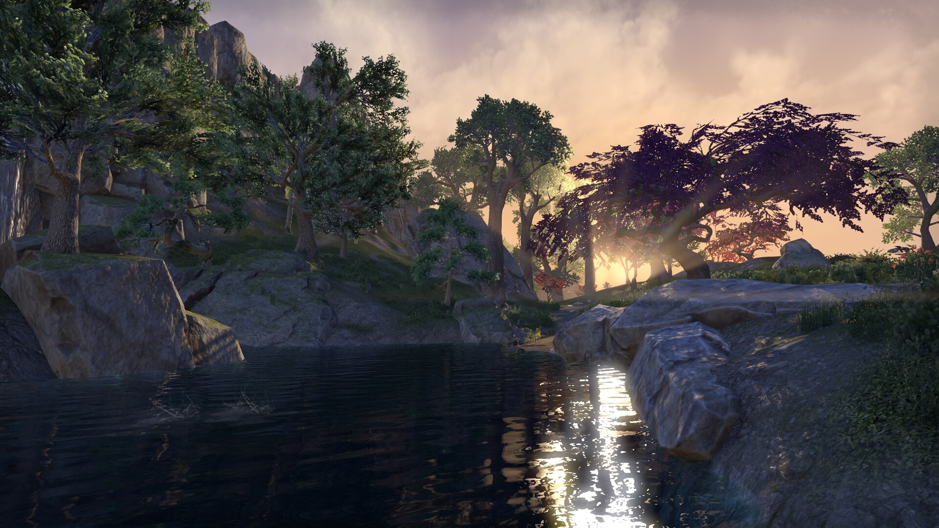 The Elder Scrolls Online_ Tamriel Unlimited (4).jpg